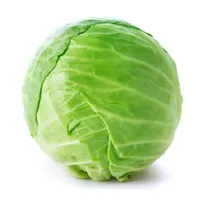 Kapusta