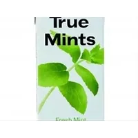 TRUE MINTS Fresh Mint 13g